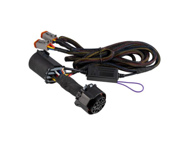 Picture of Stage Series C1R 7-pin Dual-Output Trailer Wiring Harness Diode Dynamics