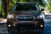 Picture of SS3 LED Fog Light Kit for 2013-2019 Subaru Outback Yellow SAE Fog Sport w/ Backlight Diode Dynamics